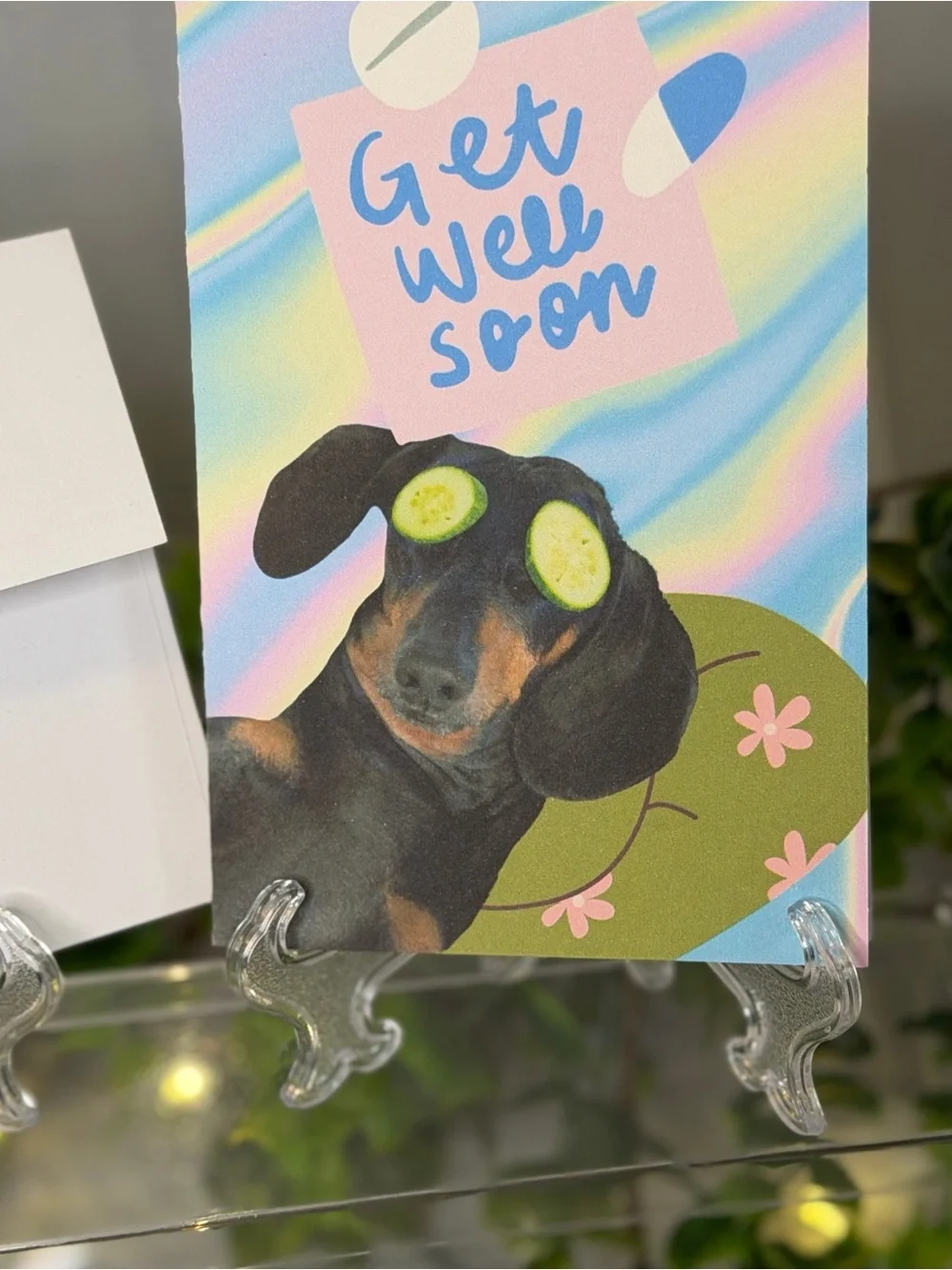 Cute Dachshund Get Well Soon Greeting Cards Set of 5 | 4x6 Blank Inside